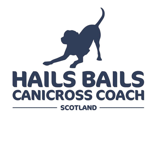 K9 Trail Time – Secret Santa Dog Treat Appeal - Donation of a mystery bag to The Underheugh Ark Rescue