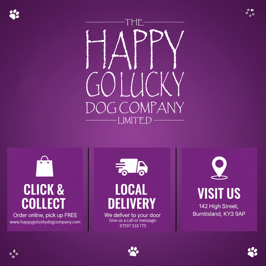 Purple poster showing how to buy from the happy go lucky dog company online in person and local delivery 