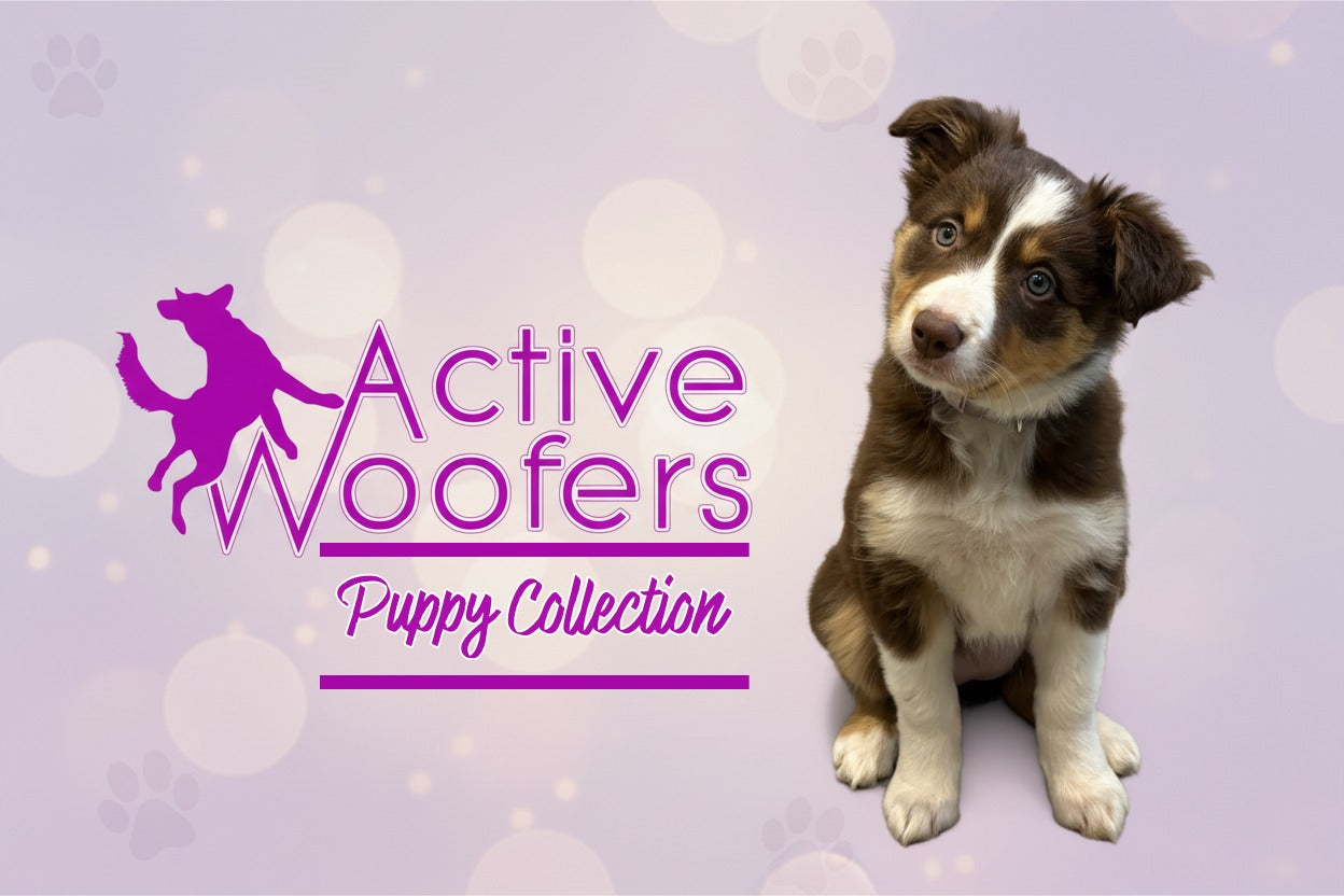 Tri border collie puppy with the active woofers logo and text that reads Puppy Collection