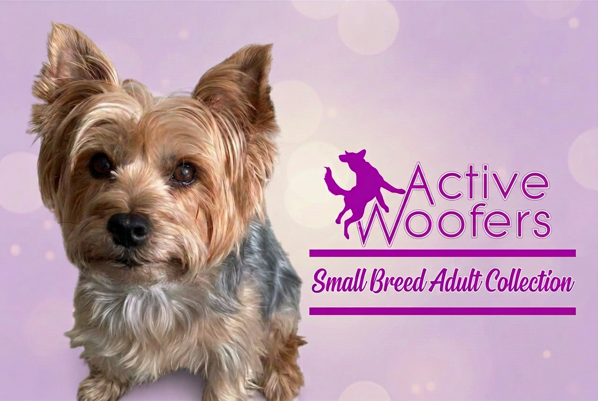 Small Breed Adult collection banner with the Yorkshire Terrier without a harness and Active Woofers logo