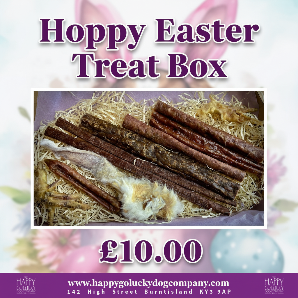Hoppy Easter dog treat box with assorted air dried meat treats