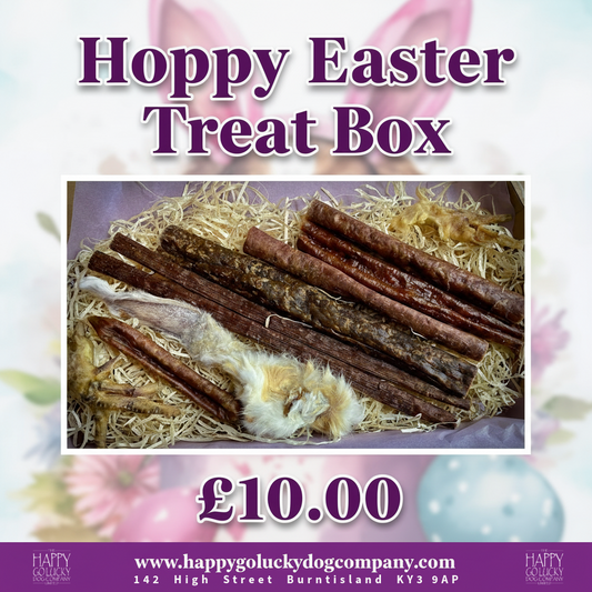 Hoppy Easter dog treat box with assorted air dried meat treats