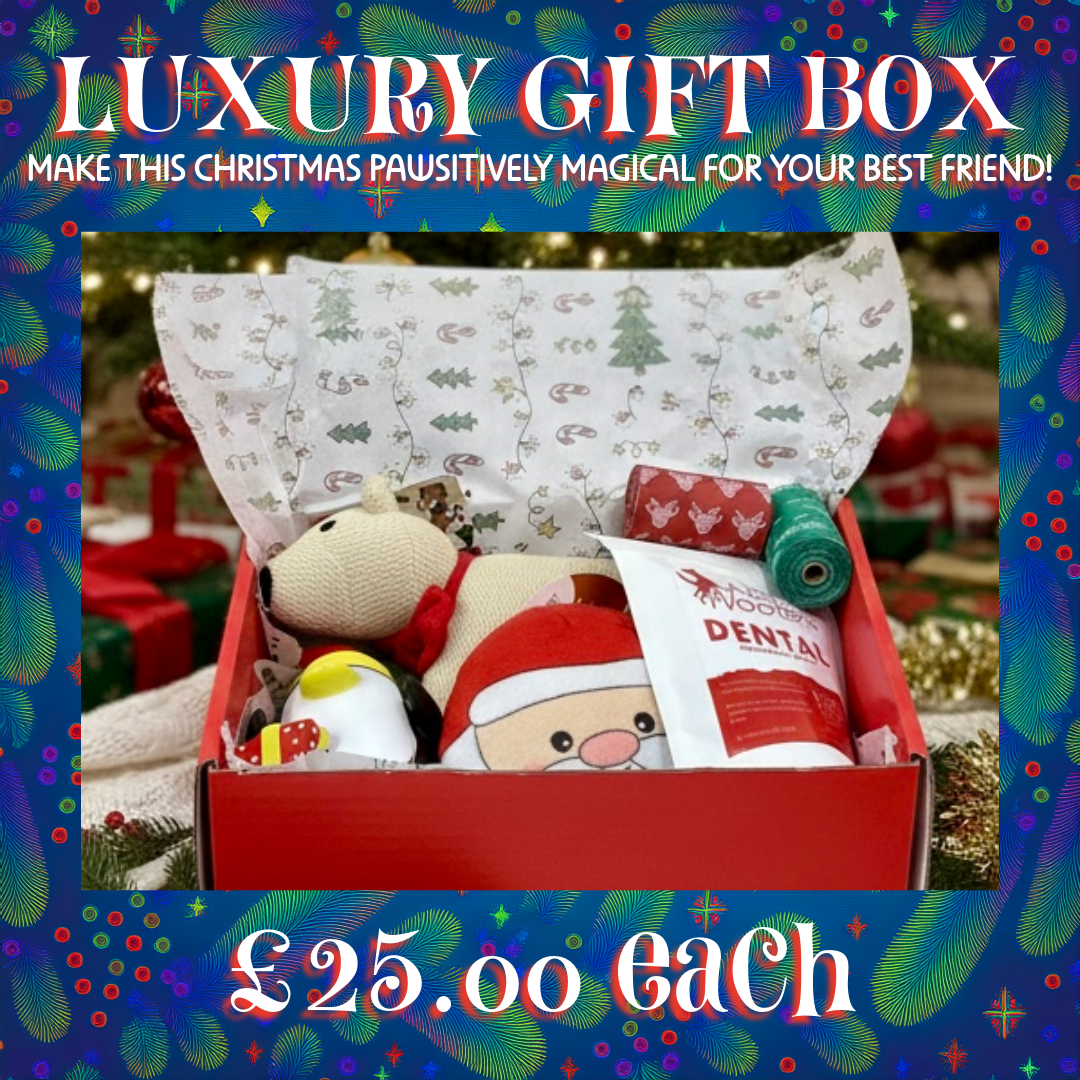 Luxury Dog Gift Box - Make This Christmas Pawsitively Magical