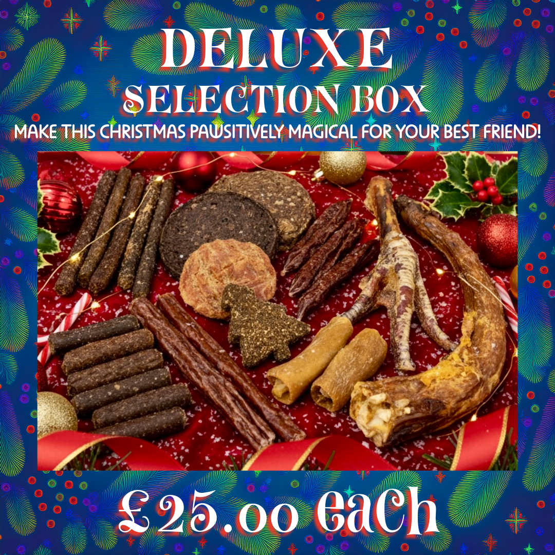 Santa Paws Deluxe Selection Box - Premium Air Dried Treat Gift