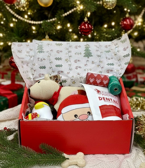 Dog care product set in a red box with Christmas tree in the background
