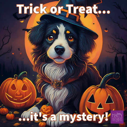 Halloween-themed illustration with a dog in a witch hat surrounded by pumpkins and text 'Trick or Treat... it's a mystery!'.