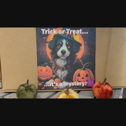 Howl-O-Ween Mystery Box